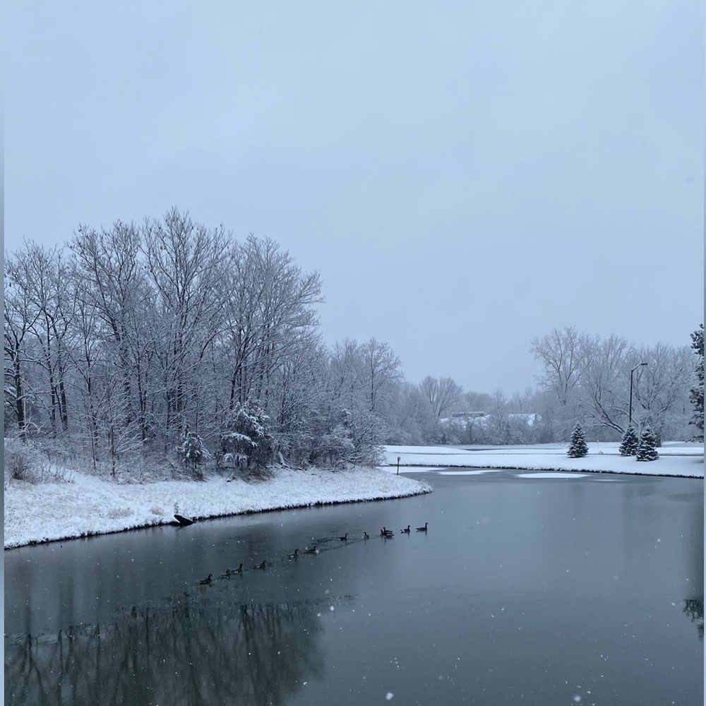 Meet your Posher, Tiby